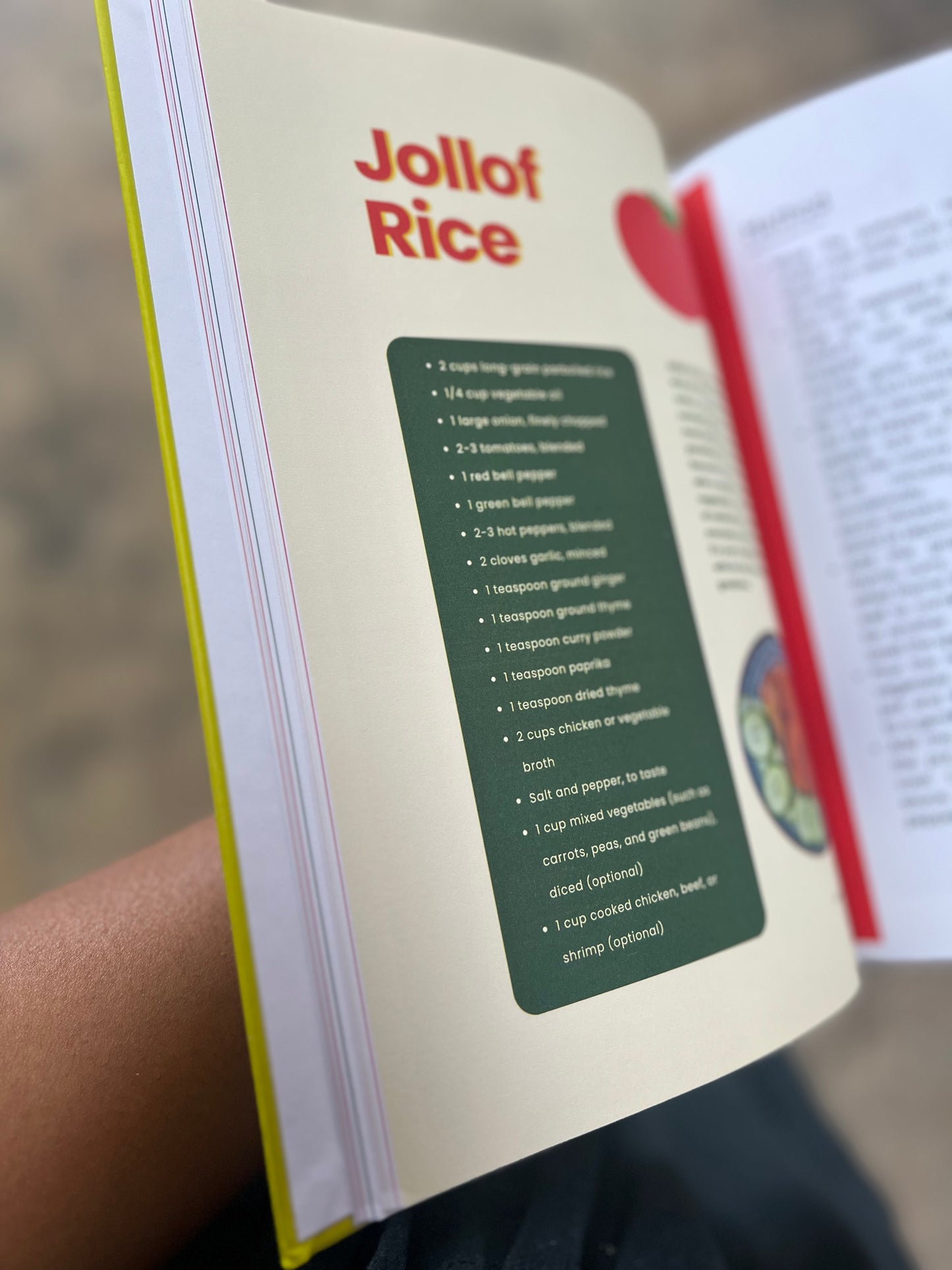 Delicious Nigerian Recipes - Cookbook